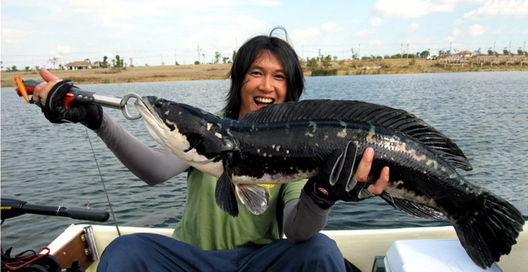 สีสวยจัง............กล้องใหม่... :grin:
เอาภาพ ixus พอลล่าตัวใหม่มาให้ดู.........จืดไปเลย... :cry:
