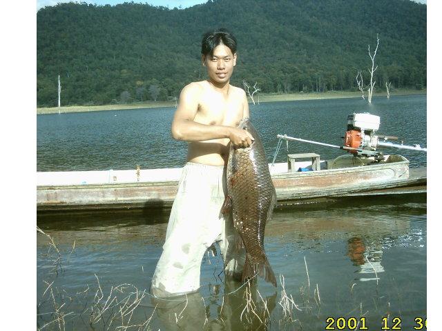 
นี่ง่ะโทรฟี่ของผม  อิอิ [url='http://www.siamfishing.com/content/view.php?id=982&cat=photo_in']h