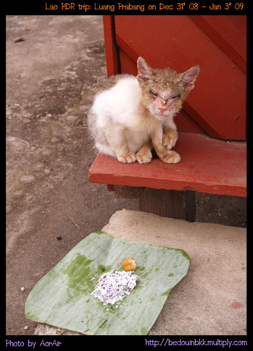 ยับเยินเชียวลูกเอ๊ยยยยยยยยยยย :sad: