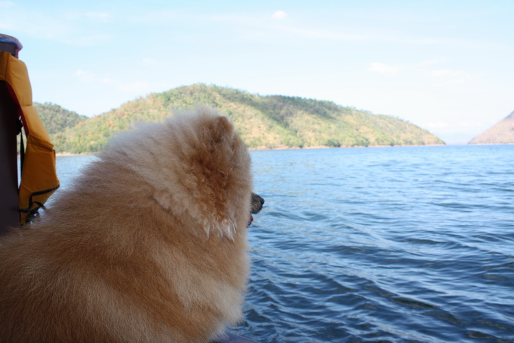 เพิ่งตื่นคับมาชมกันต่อ :blush: