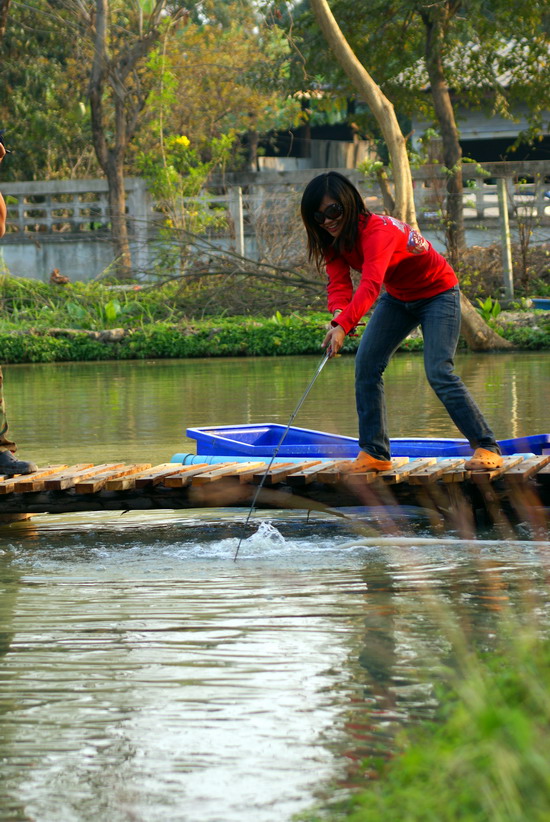 เหมือนฟ้าจงใจ..........

พี่กูลหวดอยู่ซัก 100-200 ไม้ ถอดใจสงคันให้นู๋ม่อน หวดอยู่ 3 ไม้ วัดฟั่บเข