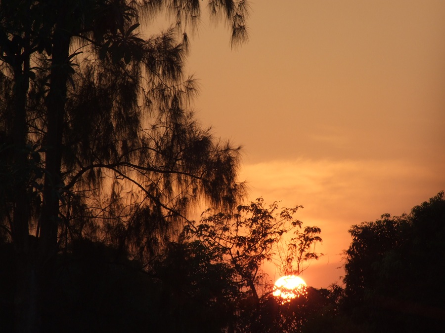 ลากันด้วยภาพนี้ล่ะกันครับ โอกาสหน้าจะเอาANNITEEไปลองกระพงบ้างครับ ไว้รอชมครับ
.....................