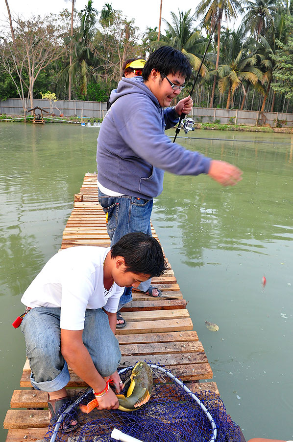 ไม่รอดครับ เสร็จตามิงค์ ปลามันคงคิดในใจว่า " ตรูแบกน้ำหนัก ไม่ไหว" กร๊ากกกกกกกกกกกกกกกกกกกกกกกกกก5