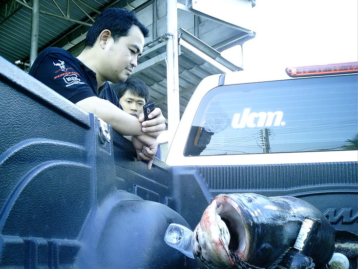 น้าหมูยืนดูผลงาน     :ohh: :ohh: :ohh:     