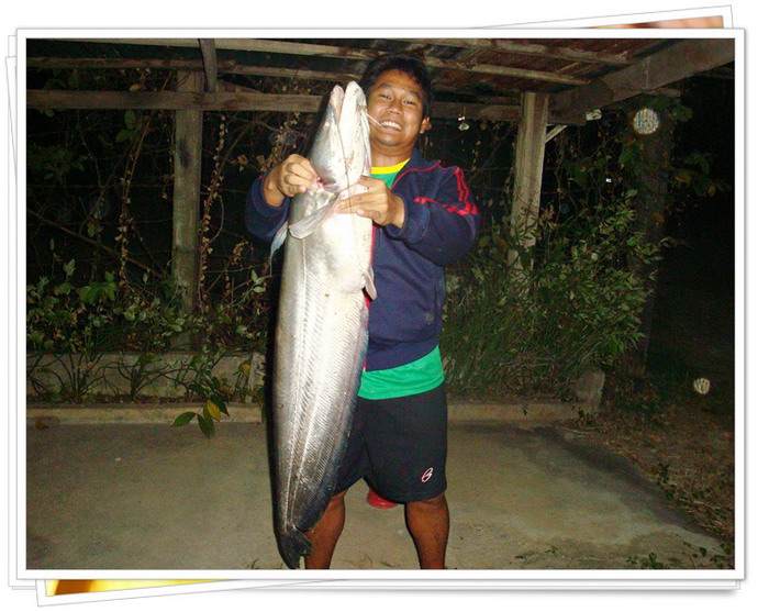 ตัวนี้คับ 7 โลกว่า :love: :love: :love: