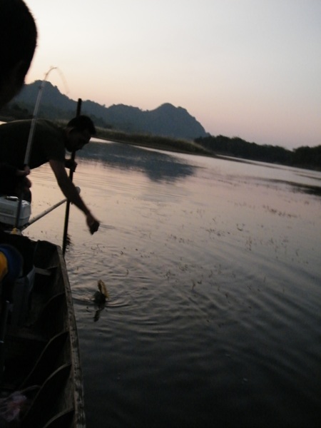 หลุดอะป่าว :sleeping: :sleeping: