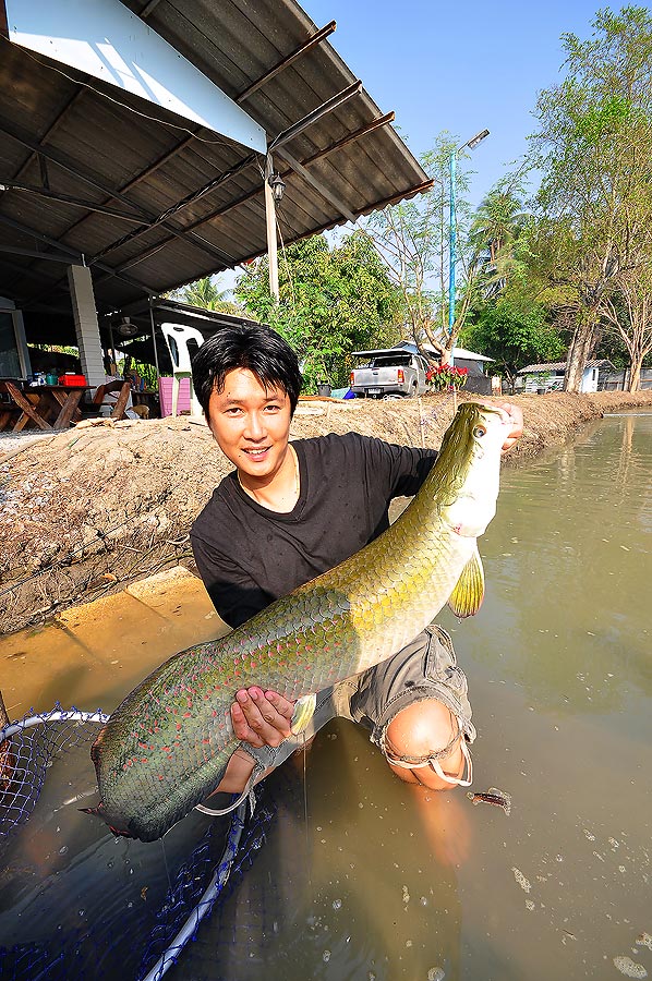 ดูกันชัดๆ เจ้าตัวนี้ มันสวยจริงๆ  :love: :love: :love: :love: