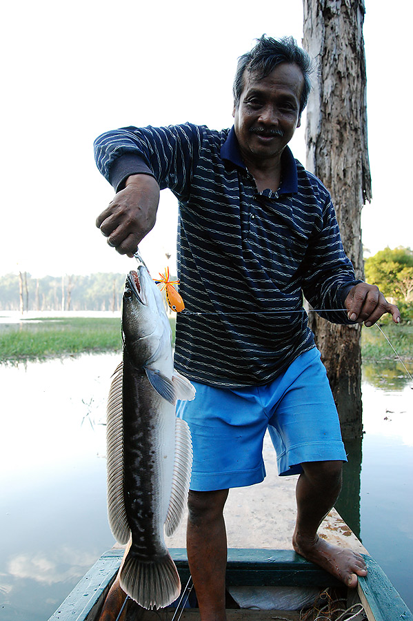 ลุงไพร  พายเรือเงียบ  จริงๆๆ

ปลารับแขกที่นี้ขนาดเล็กสุด  ...ขนาดนี้ครับ