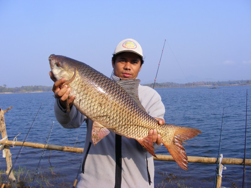 ชะแวปขึ้นมาแล้ว :cheer: :cheer: :cheer: :cheer:
