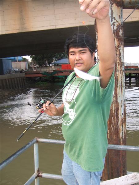 .........นี่งัย.........พื้นๆ.................ปลาแปป ครับ...
