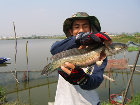 และนี้มาซ้อมมือกับคู่เกย์ของเขา ....มีสัญญาใจว่าจะไม่พรากจากกัน...