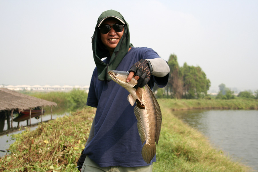น้าลุงเก๋ขอเดี่ยวแบบเท่ห์ๆ  :smile: :cheer: