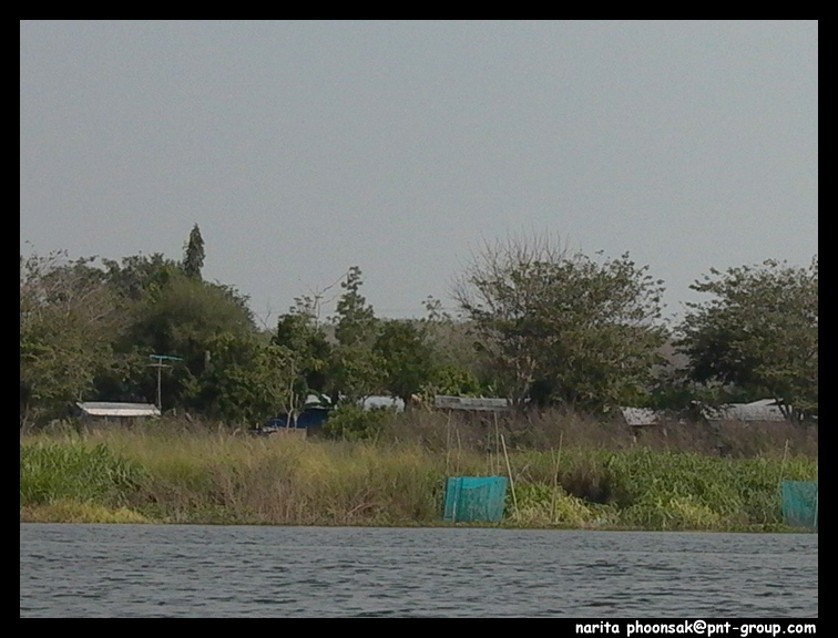 ข่ายสีฟ้าที่เห็น สอบถามยุคนเรือบอกว่า เป็นที่ดักกุ้งของชาวบ้าน