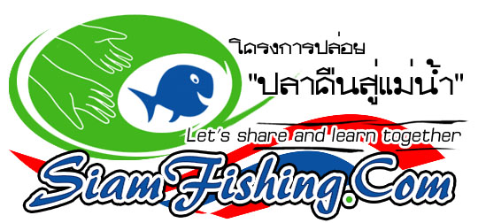 [q]ขนาดเท่าของน้าโสภณมั่งน่ะครับบบบ 3.5x7.5(นิ้ว)....นั้นไม่ใช้ขนาดของน้าครับ[/q]
5555555 คิดไปได้ค