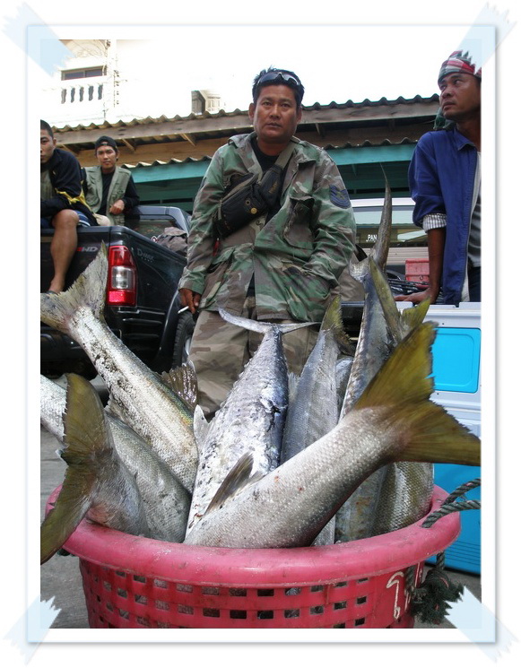ลากันไปกับภาพปลารวมของทริปนี้เลยนะครับ  

-:-:-:-:-:-:-::-:-:-:-:-:-::-:-:-:-:-:-::-:-:-:-:-:-::-: