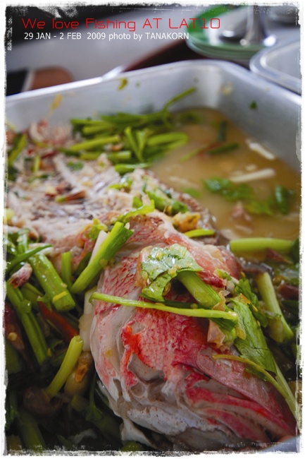 มื้อเย็นจะปลากิน....หรือกินปลาดี...จะได้มีเเรง  :umh: