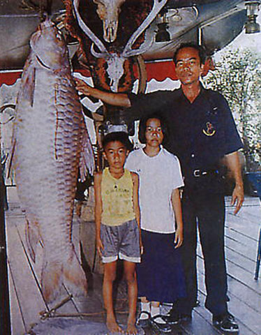 ตัวที่12 ปลายี่สกไทยหรือปลาเอิน ถิ่นกำเนิดอยู่แม่น้ำโขง และสาขา ...แรงดึงเบ็ด เทียบน้ำหนักเหนือปลายี