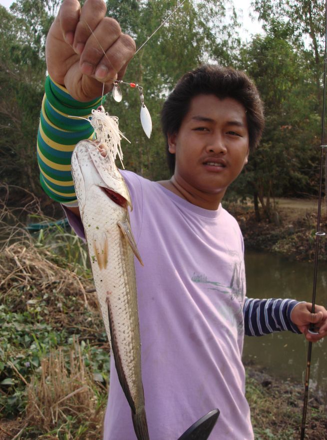 :grin: :grin:

สวัสดีครับน้ามักเลาะ ขอบคุณครับตามมาเลย..ลองแล้วจะติดใจ :grin: :laughing: :laughin