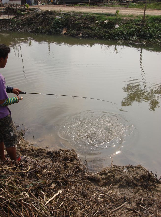  :umh: :umh:

สวัสดีครับน้าtrigerfish  :grin: :grin: