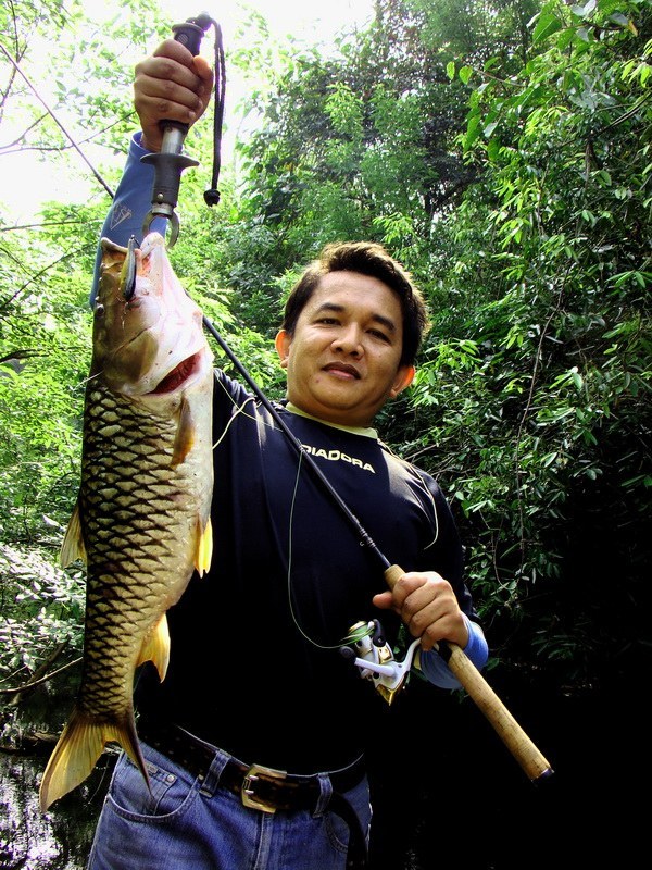 หากเราขึ้นถึงต้นน้ำไซร์งามๆแบบนี้ยังมีอีกหลายฝูง
เพียงแต่ว่าร่างกายของเราบอบช้ำจนเกินกว่าที่จะไปถึง