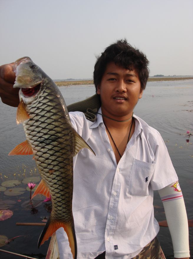เอาขึ้นมาเย้ยผมอีกแล้วๆๆๆๆ :mad: :mad: :grin: :laughing: :laughing: