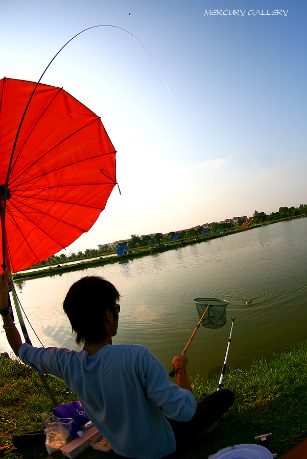 ส่วนน้า Halew ก็ไม่ยอมครับ งัดมาอีกตัว สูสีกันเหลือเกิน  :grin: