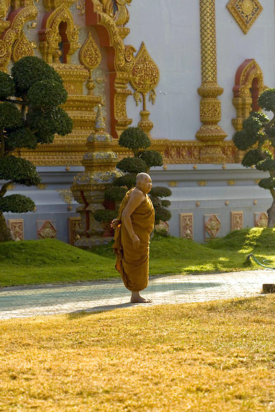 หลวงพ่อเจ้าอาวาสค่ะ