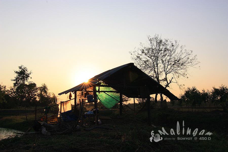 สวัสดีครับน้านักล่า...ขอบคุณครับ
-------------------------------------
ได้อีกคนละ ตัว สองตัว  ก็  