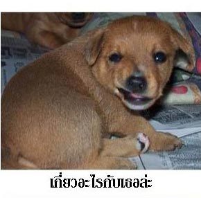 ยาวไปๆ....ยาวไปเลยครับ...มันส์..จิงๆ... :cheer: :cheer: :cheer: :cheer: