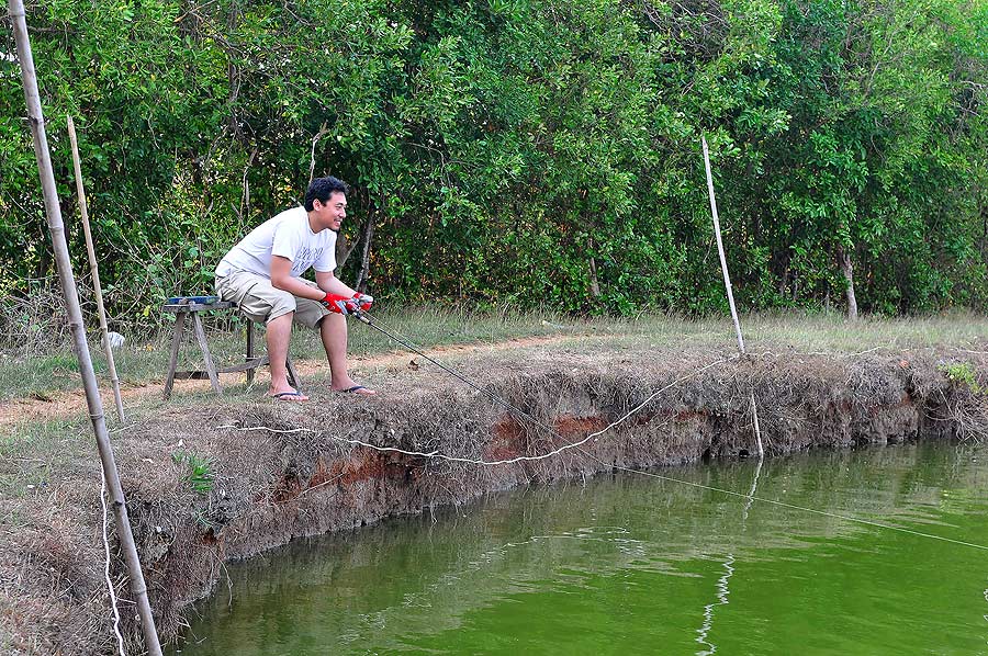 ช่วงเย็น เหมือนฟ้า ส่ง จิ้งจอก มาให้สิงโต อย่างเรา ป๊าดดดดดดดดดดดดดดด.......................ตาโอ๊ต จ