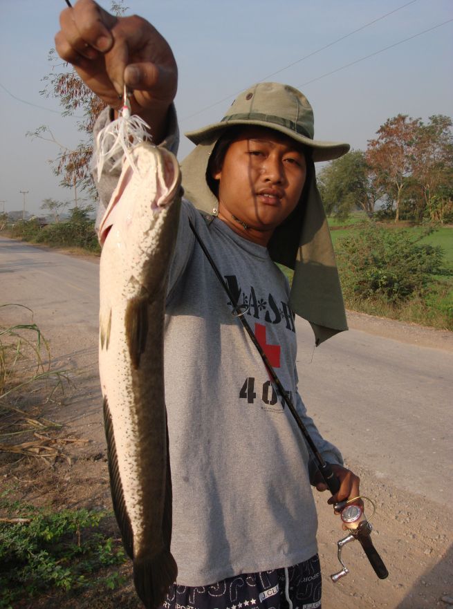 ขอหล่ออีกแหละ :laughing: :laughing:


สวัสดีครับน้าเจี๊ยบจันทบุรี  :laughing: :laughing:เหยื่อสีข