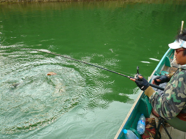 และน้าเก่งก็โดนเหมือนกัน แต่เป็นกระสูบ :cool: