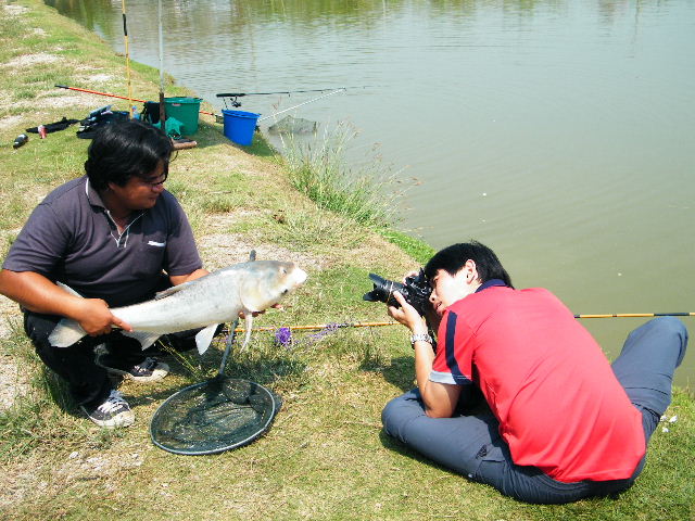 ดูมาดมืออาชีพถ่ายรูป 
-------------------------------------------------------
[q]รูป87 เอ็คชั่นคัน