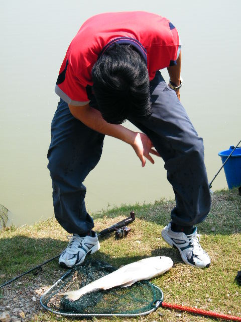 ตัวนี้ตัวที่ 4 ของครูเต้ยครับ แถมโดนซ่งฟาดหางเข้าอีกครับ
 :laughing: :laughing: :laughing: :laughin