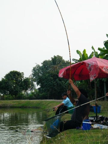 น้าปลาร้ายังเดินสกอร์อย่างต่อเนื่อง