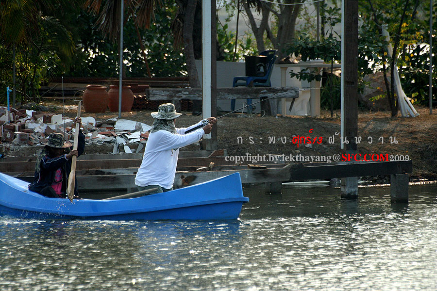 ไม่นาน พี่ปลา ก็ โดน   พายเรือ ไปตกฝั่ง ตรงข้าม 55555555555 ปลาพันต่อ อิๆๆๆๆ