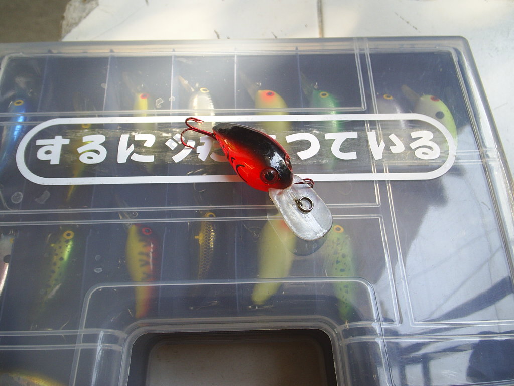  !!! 2009 ว่ากันว่าเป็นปีของ Crankbait