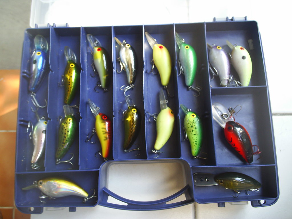 เตรียมของแล้วก็ออกเดินทางครับ เดิมทีผมจะใช้ปลาลูกครอกเหล่านี้ (daiwa peanut) เป็นตัวกวนโอ๊ยปลาช่อนให