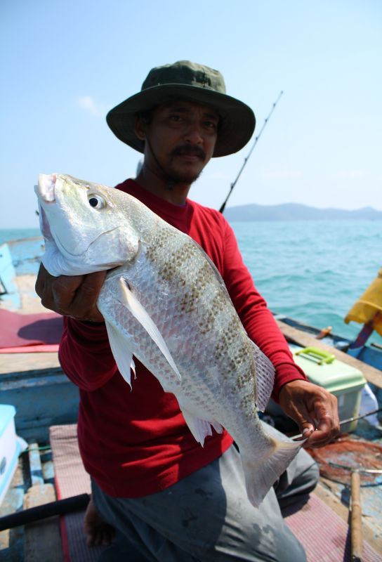 สวัสดีครับน้า rayong009  :cheer:
------------------------------------
