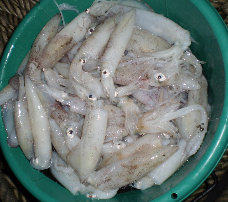 พออุ่นใจ...ไม่มีหมึกเป็นเอาแบบตายก็ได้....แก้ขัดไปก่อน....เผื่อไม่ได้ปลา
จะได้เอามาทำกับข้าวซะ :ohh