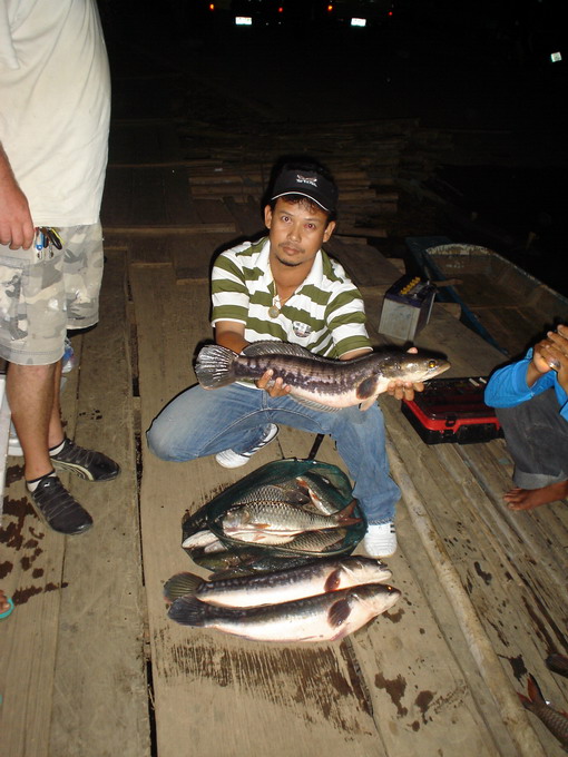 ผลงานของทริปนี้ครับ  ........................ :cheer: :love:

น้า  BLACK-FISH..............สวัสดีค