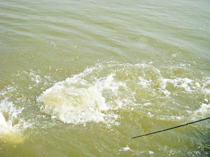 น้ำกระจาย

:laughing: :laughing: :laughing: :laughing:

หวัดดีคับน้า fearfish ขอบคุณมากคับ

 :