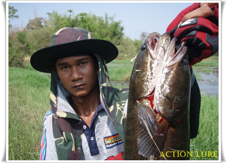 ประกบเป็นคู่ :grin: