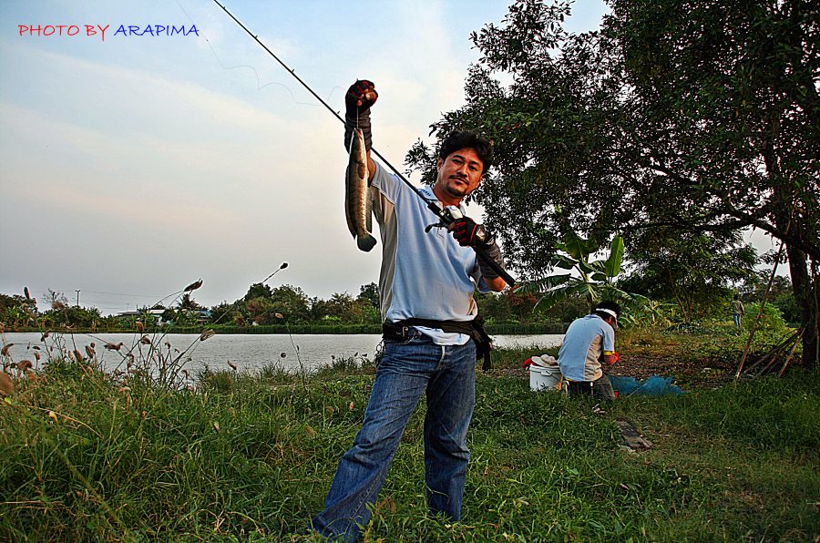  :grin: :grin:  น้าเอก จั่วขึ้นมาอีกตัวจร้า   :laughing: :laughing:



 :grin:  สวัสดีครับ น้าja