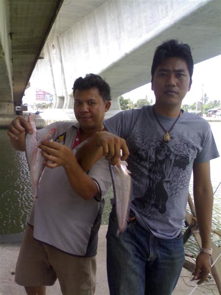 .......ปีหนึ่ง.....สนุกกันครั้ง................

