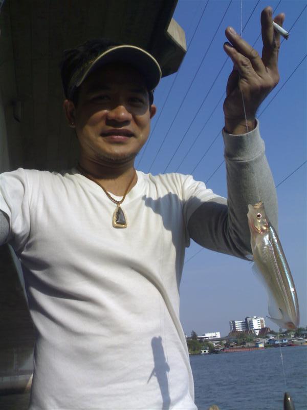 น้าต้น(ครูฝึกแมวน้ำสวนสัตว์โคราช)กลับมาจากโคราช...ตะกายขึ้นตอม้อทันที.........ดีใจกับตัวแรกของปี....
