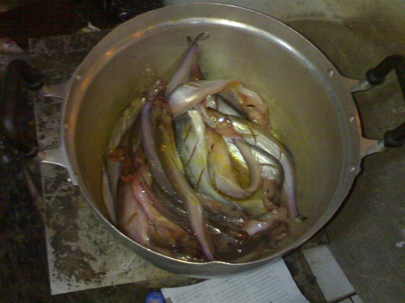 ......ตกเย็น....................................................

..ใครอยากกินอะไร.........กิน..เล