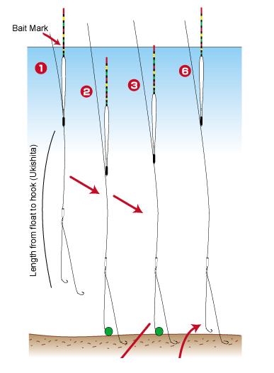 เยี่ยมมมมม ขอบคุณคับ ช่วยทำลิงค์ให้ครับ 
[url='http://www.marukyu.com/eng/marukyu/beginner/crucian