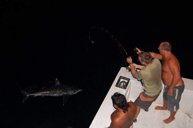 โอ้ว มายก็อดดดดดดดด Shark !!!!!!! อีกแล้ว  :ohh: :ohh: :ohh: