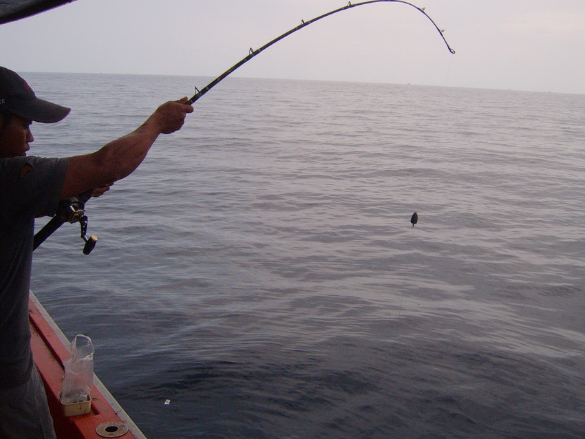  :smile: ดีจ้าน้า sitfishing อยากไปก็ไปสิครับ... :laughing: :laughing: อะล้อเล่น.. :grin:

ไต๋พาย้